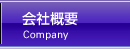 ЊTv